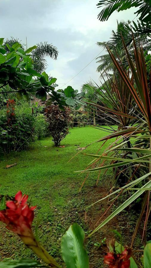 Travis Post Homestay ซีคีฮอร์ ภายนอก รูปภาพ