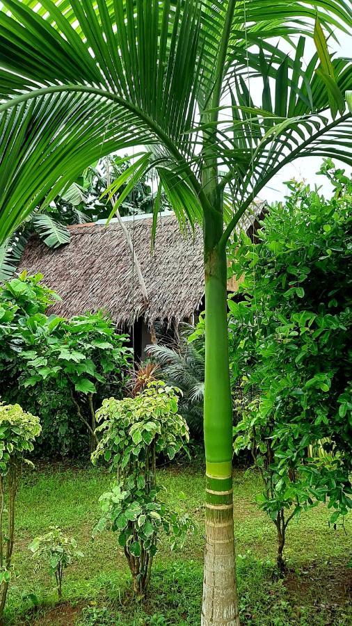 Travis Post Homestay ซีคีฮอร์ ภายนอก รูปภาพ